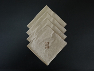 270 hollow double-layer eco-friendly paper