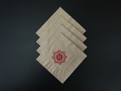 250 hollow double-layer eco-friendly paper