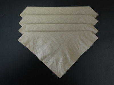 400 hollow double-layer eco-friendly paper