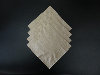 400 hollow double-layer eco-friendly paper